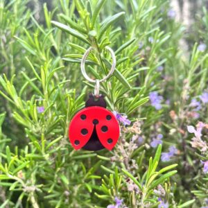 Mariquita 🐞