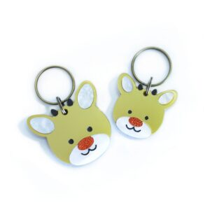 Identificación Rudolph