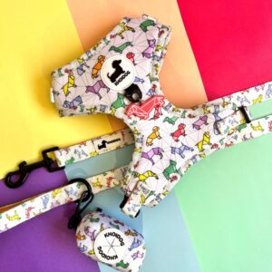 PACK Origamidog + chapita