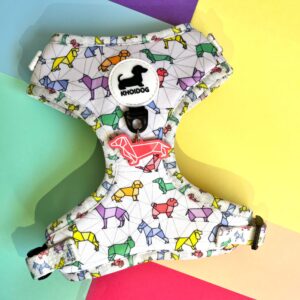 Arnés Origamidog + chapita