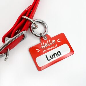 Chapa MY NAME IS