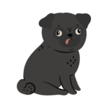 Negro