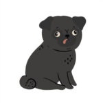 Negro