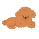 Tumbado