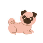 Tumbado