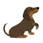 Patita